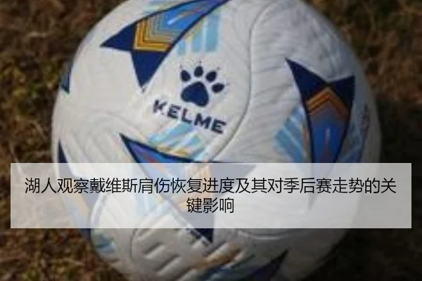 湖人观察戴维斯肩伤恢复进度及其对季后赛走势的关键影响